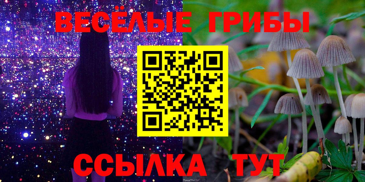 Галлюциногенные грибы Psilocybine cubensis Ялуторовск